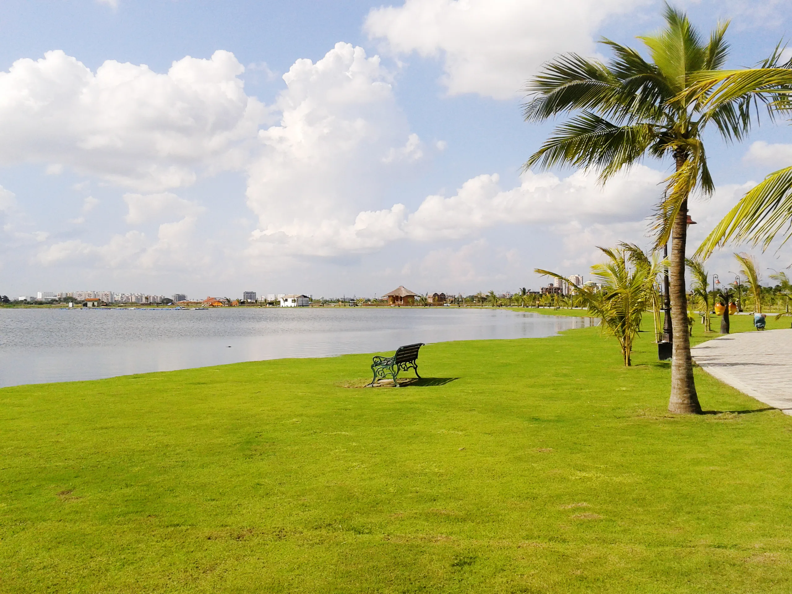 Eco Park photography landscape