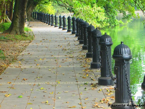 Elliot Park photography landscape