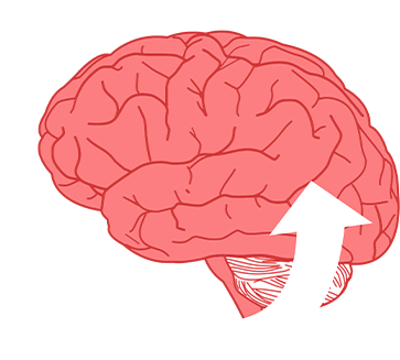 CUrBrain (Geekonix TMSL)
