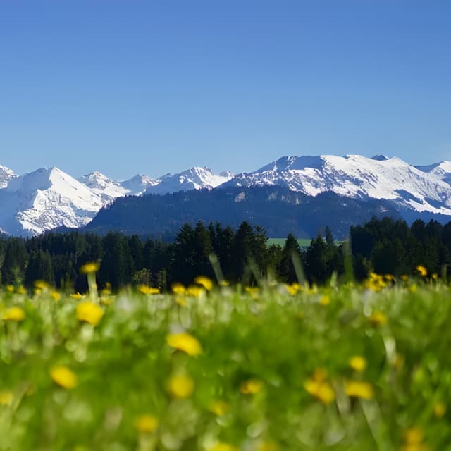 Allgäu Walser Pass