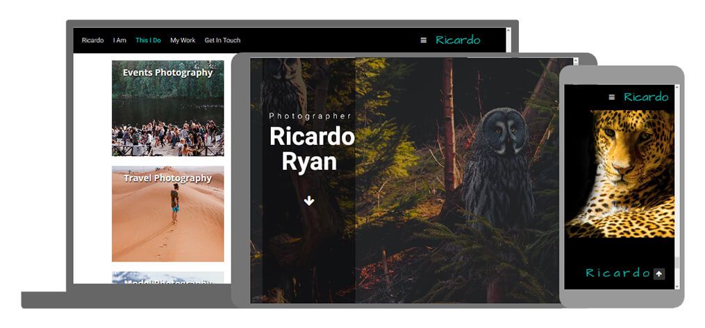 Ricardo een U-Page One website