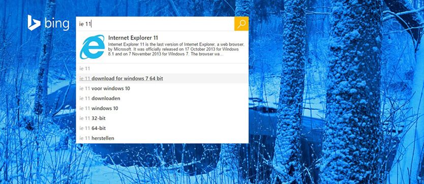 Internet Explorer 8, 9 en 10