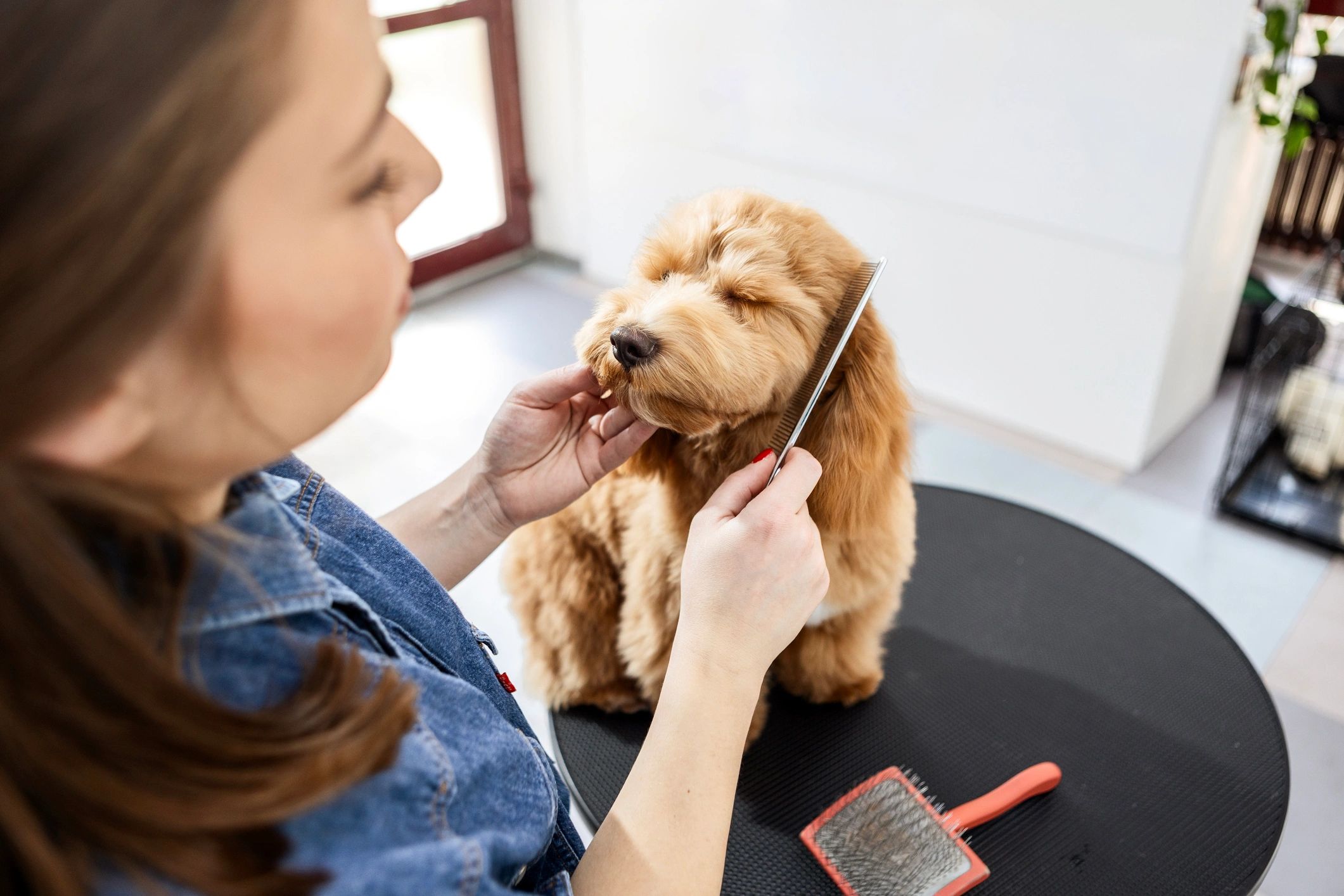 Self-Cleaning Slicker Brush