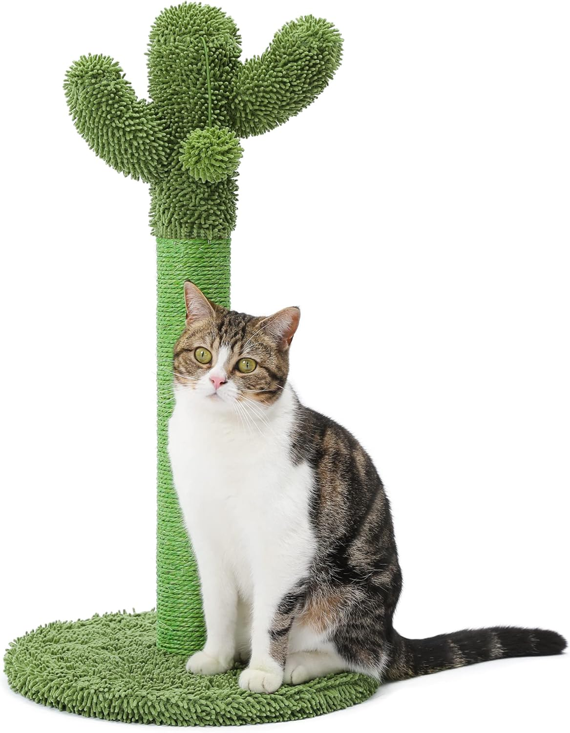 25.6" Cactus Cat Scratcher Kitten Scratch Post with Sisal Rope