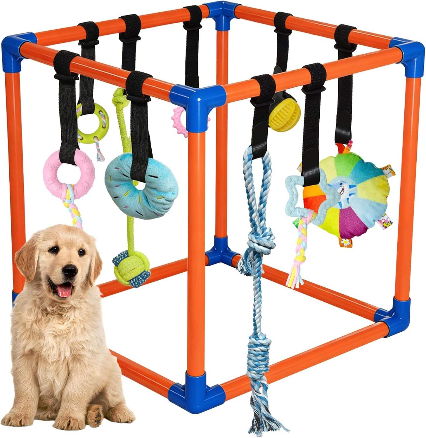 High Quality PVC Pipe Frame Bungee Jumping Strap Eco-Friendly Exercise Toy for Dogs Indoor Jungle Gym Hanging Toys