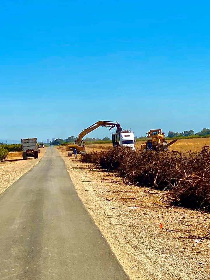Vineyard removal and grape stake recycling