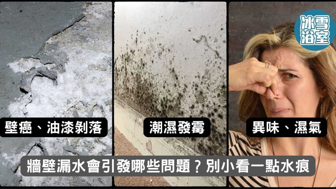 牆壁漏水的辨識與處理