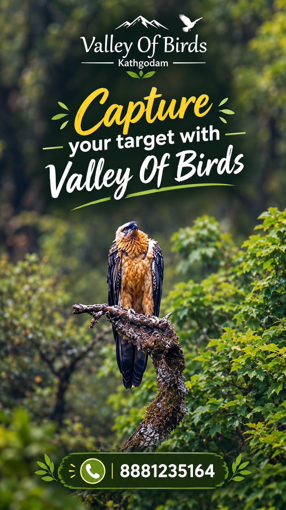 Bearded Vulture Photography | Munsiyari Birding Tour | Uttarakhand