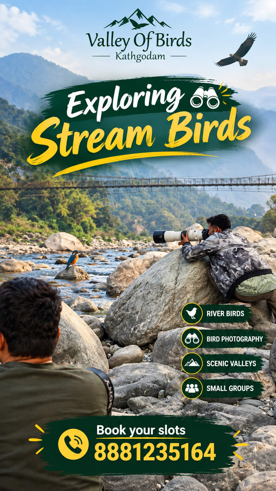 Stream Birds in Kathgodam, Uttarakhand