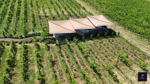 Vele avvolgibili motorizzate – Vigneto, Toscana