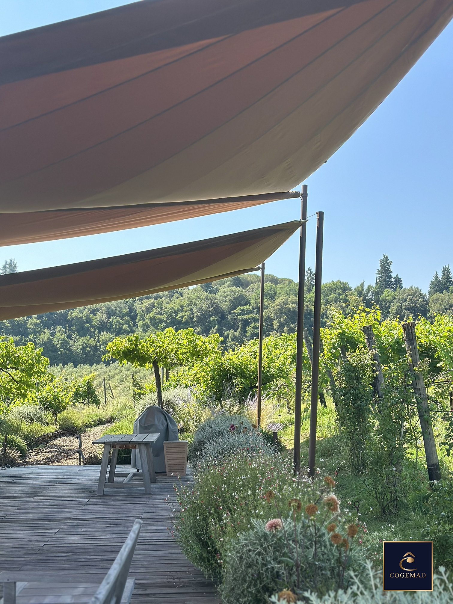 Vigneto - Toscana