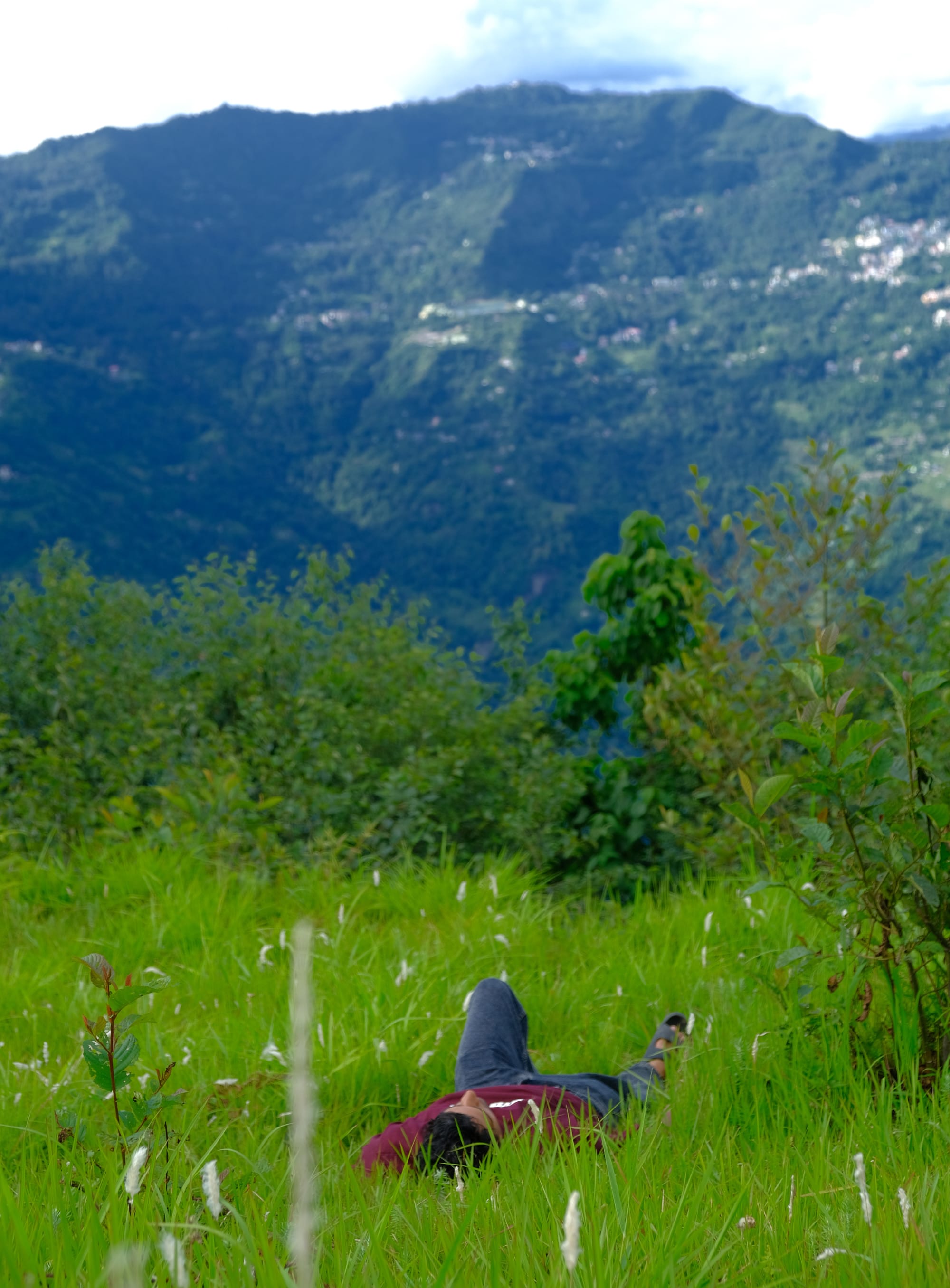 Life on the farm