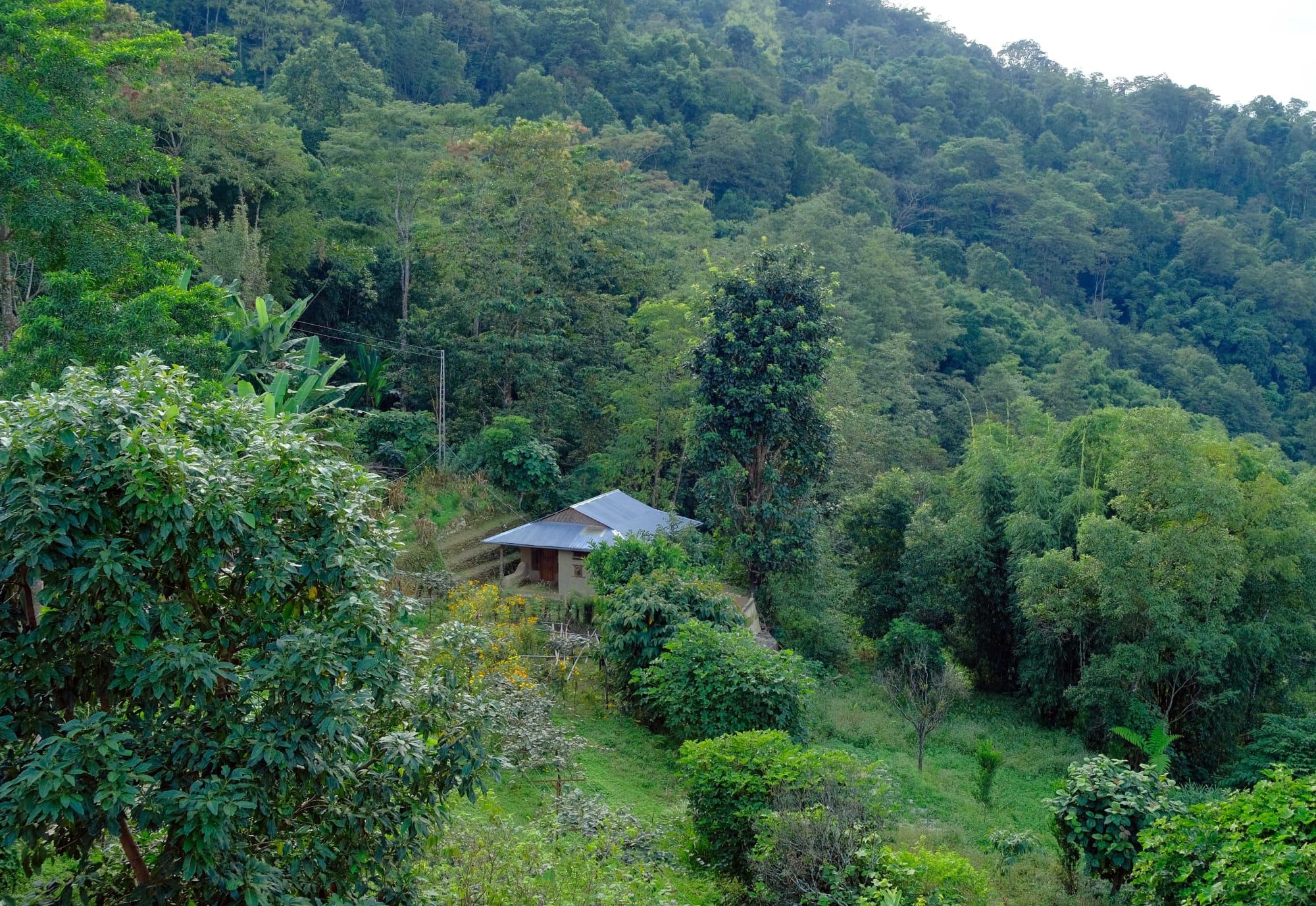 Gairi Ghar