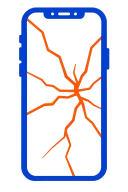 Display Replacement