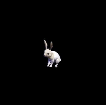 Rabbits