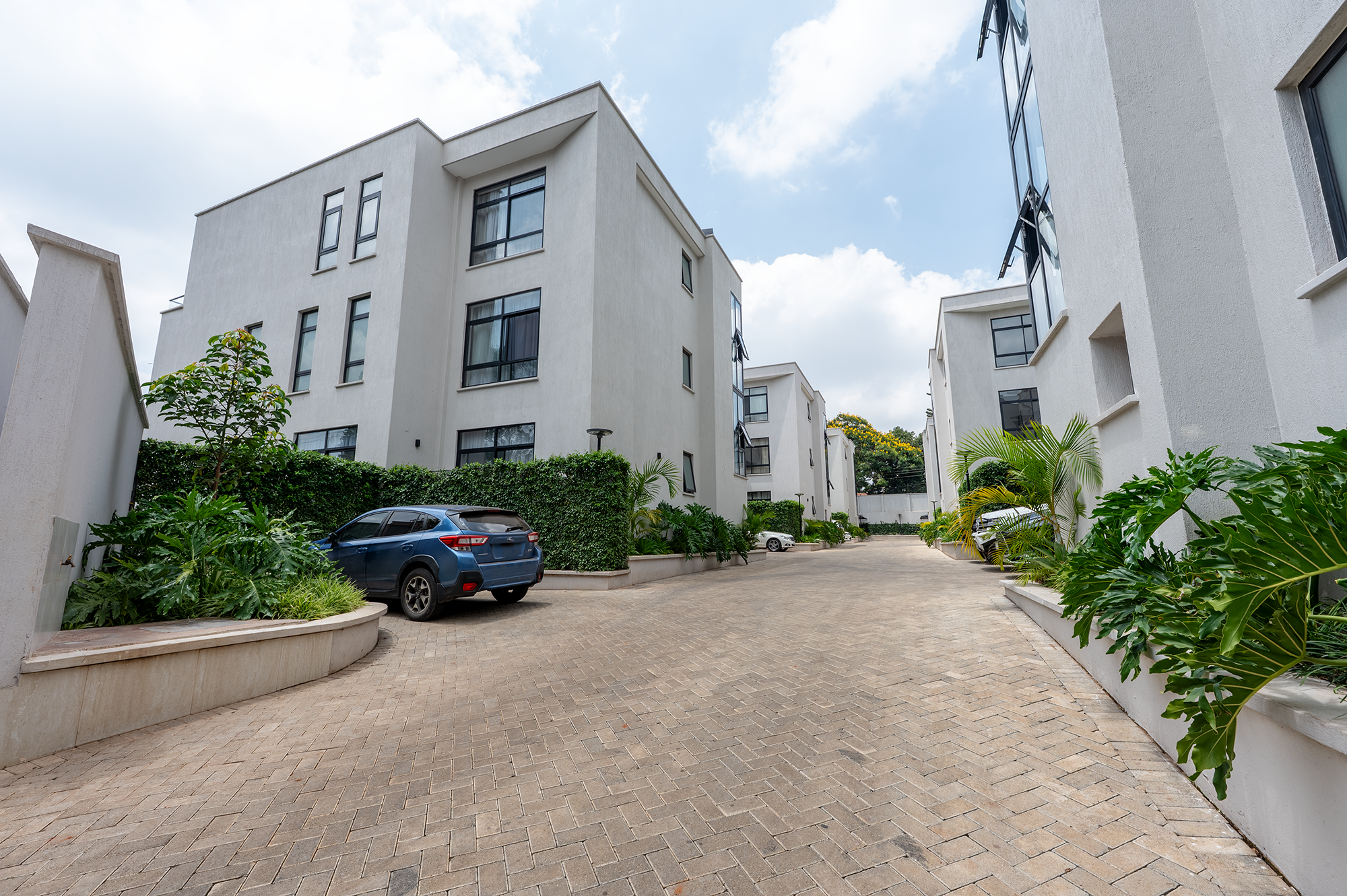 Kabarsiran, Lavington