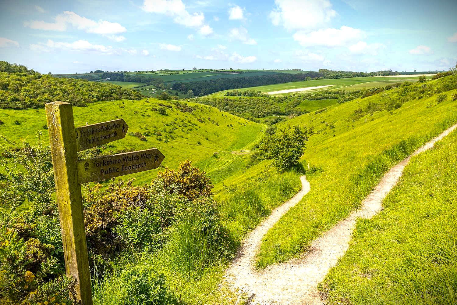 Wold Rangers Way