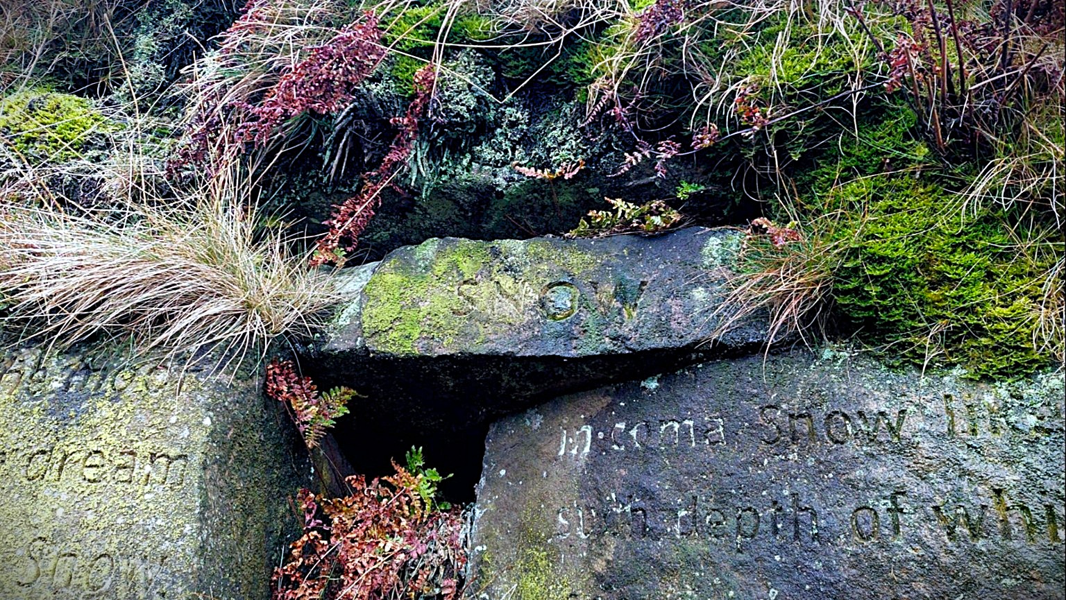 Stanza Stones Trail