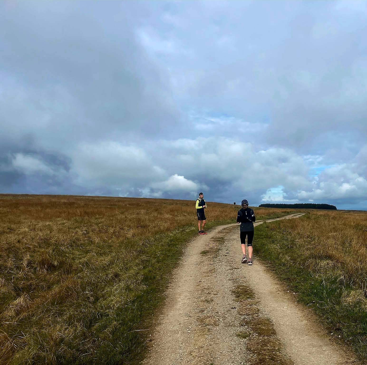 Runners on an open track