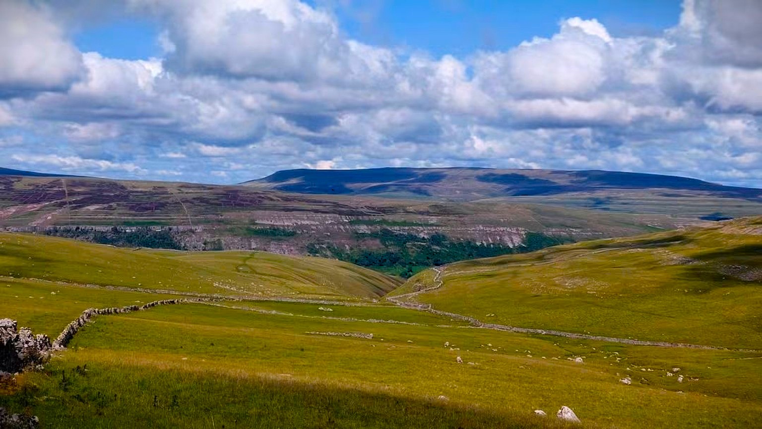 Open green Dales valley