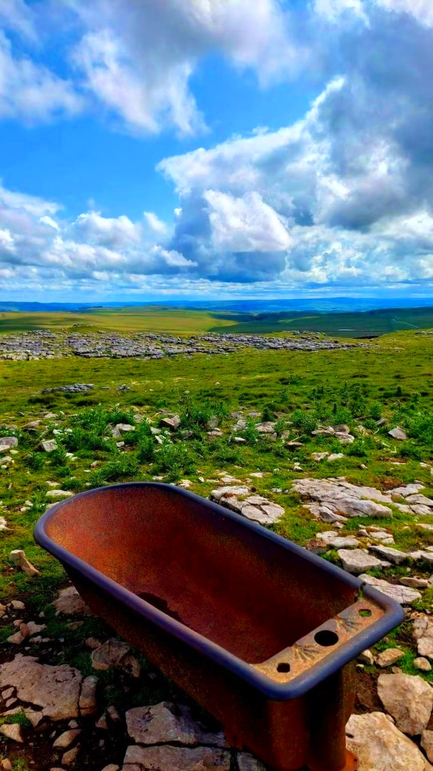 An unexpected old bathtub on open limestone ground