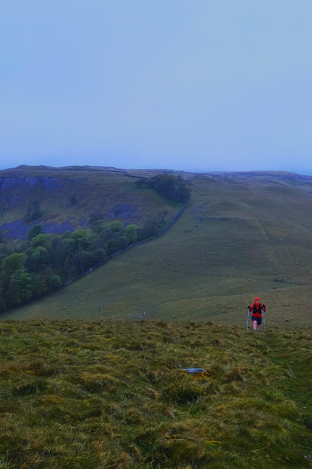 Runner on a sweeping hillside beneath a huge sky