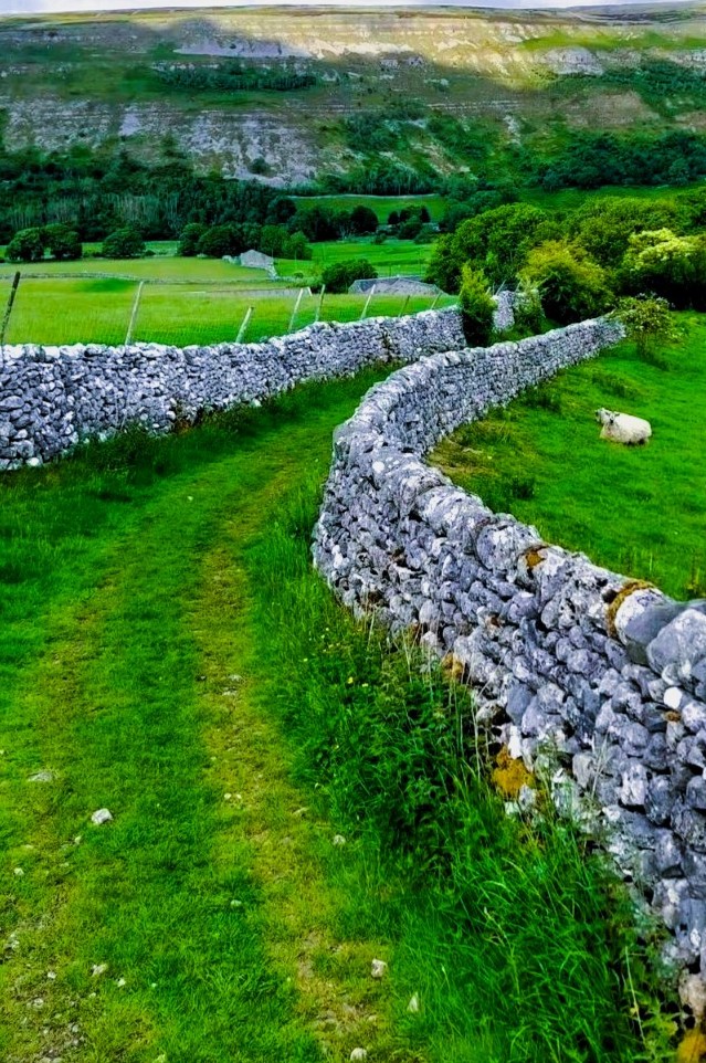 Green path curving between drystone walls