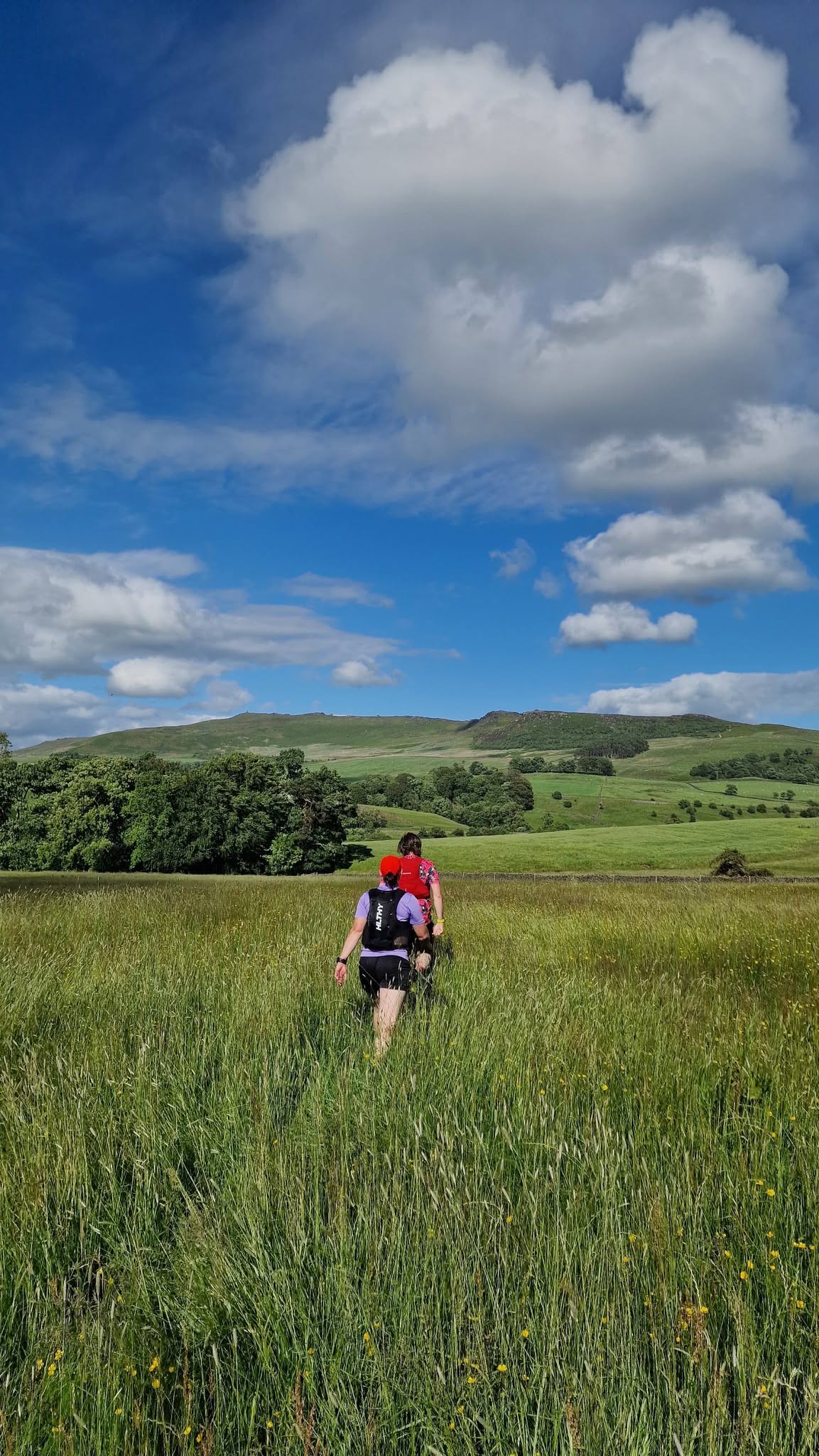 Runner heading through a green meadow on a summer day