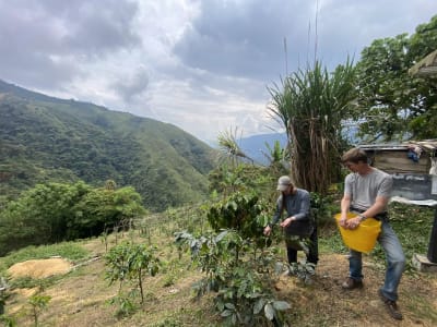 Coffee Tour & Tasting: Local Colombian Finca