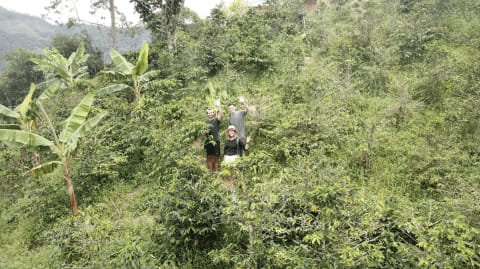 Coffee Tour & Tasting: Local Colombian Finca