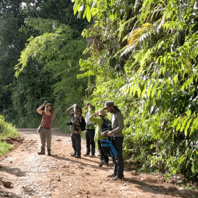 Grupo pequeño con binoculares en un camino del bosque durante el tour de aves en Guatapé