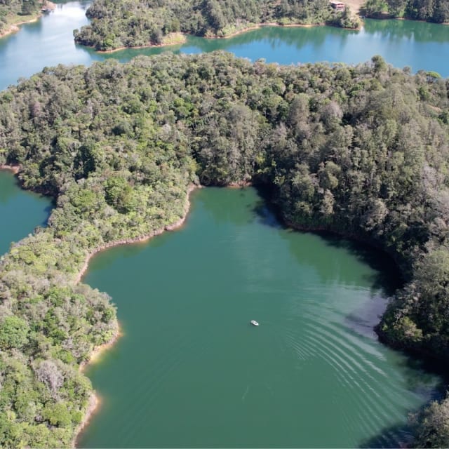 Vista aérea de un jet ski cruzando una ensenada verde del embalse de Guatapé