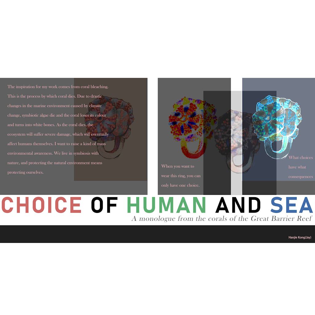 choice of human and sea