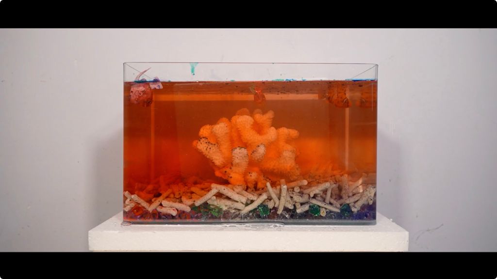 Coral Regeneration Project