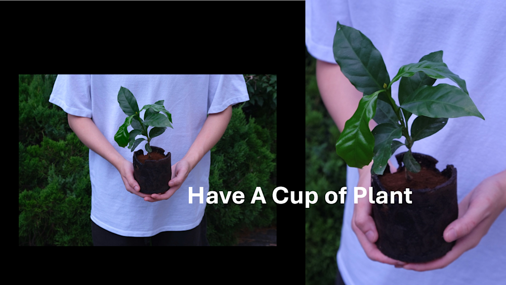 Have A Cup of Plant #ClimateCrisis2024FionaPrice