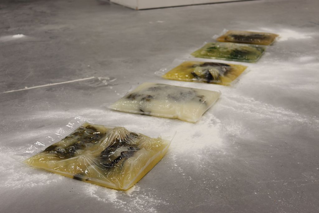 A Sweetbitter; Algal Bloom (2023)