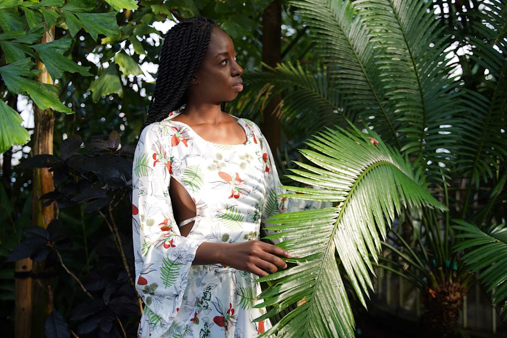 The Native Flora of Africa collection