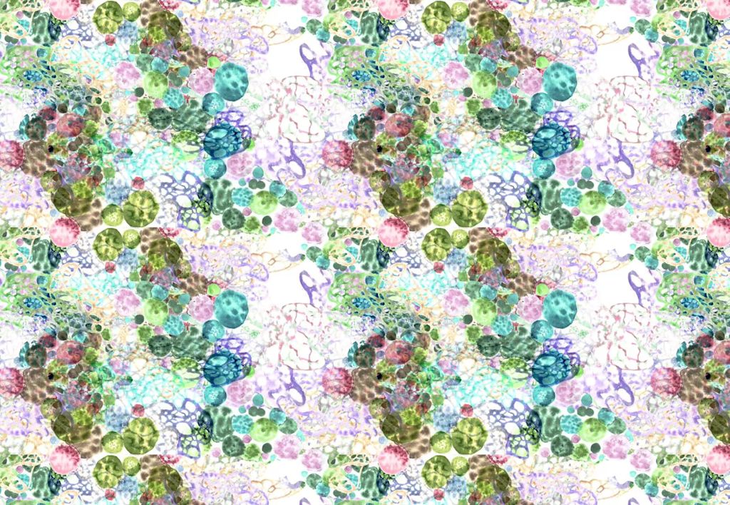 Experimental Process