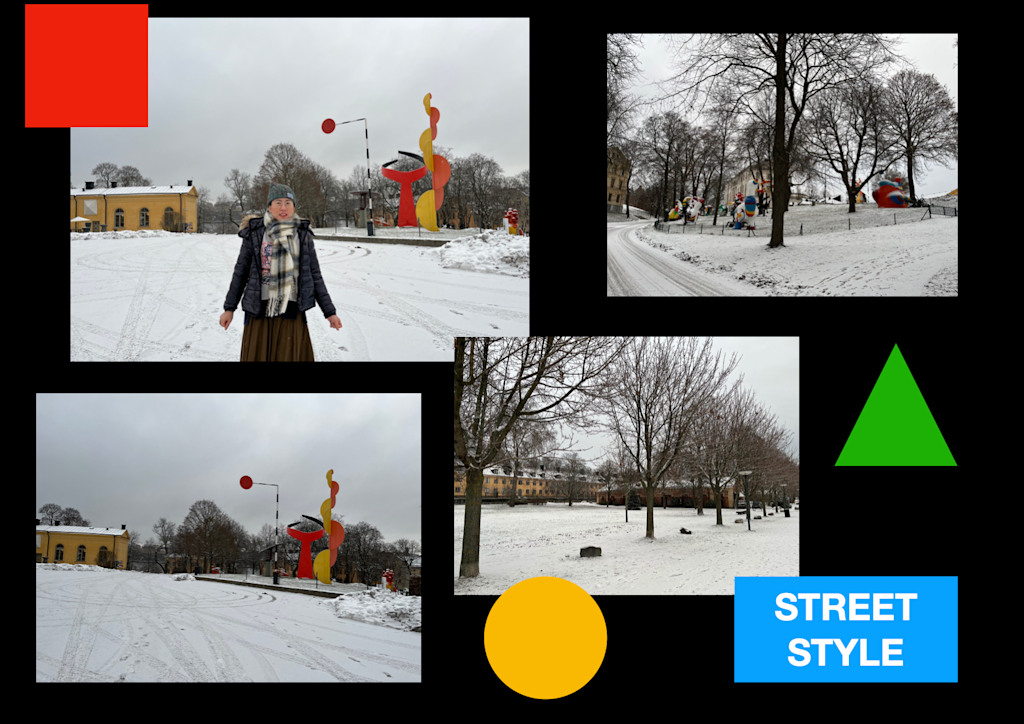 Fashion Styling
