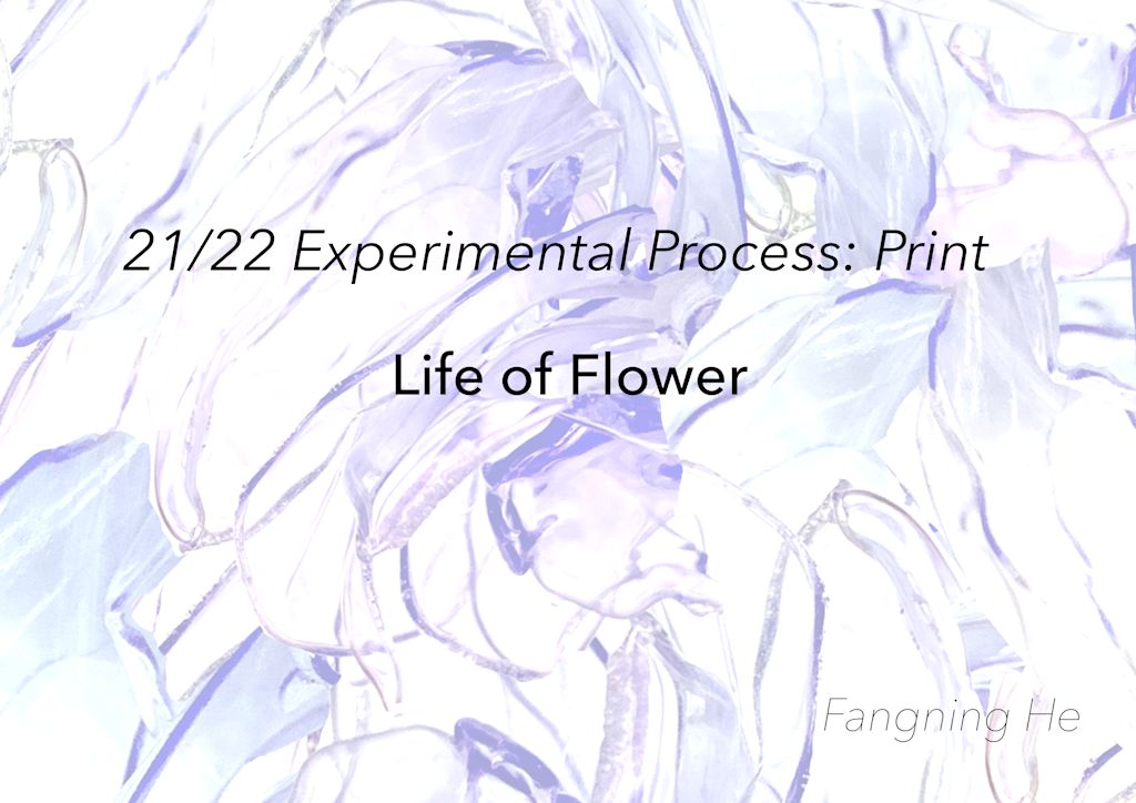 21/22 Experimental Process: Print