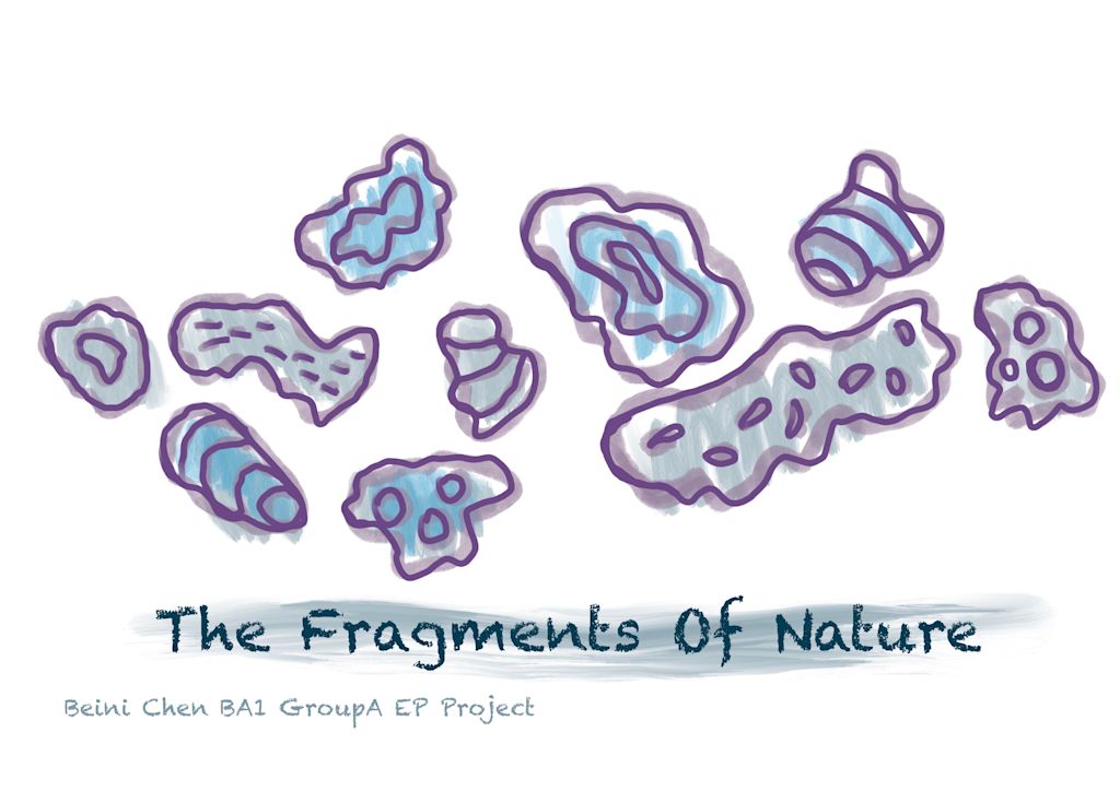 Experimental Process