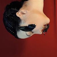 Hanzhu Liu
