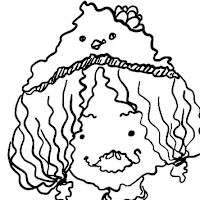 xin sun - profile image