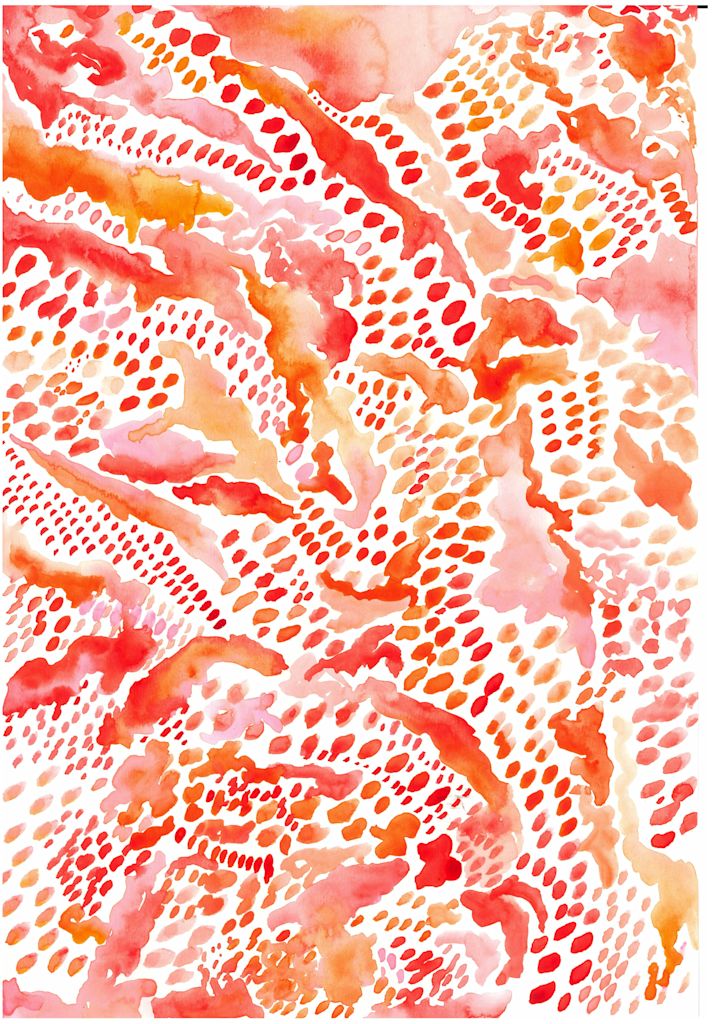 Experimental Process