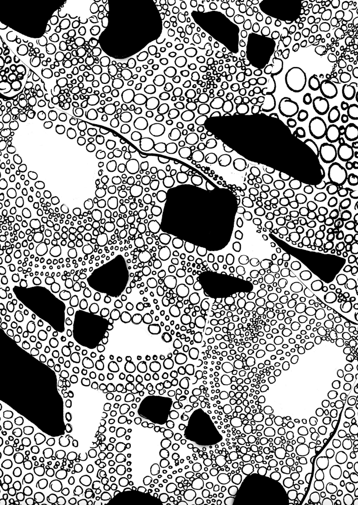 Experimental Process