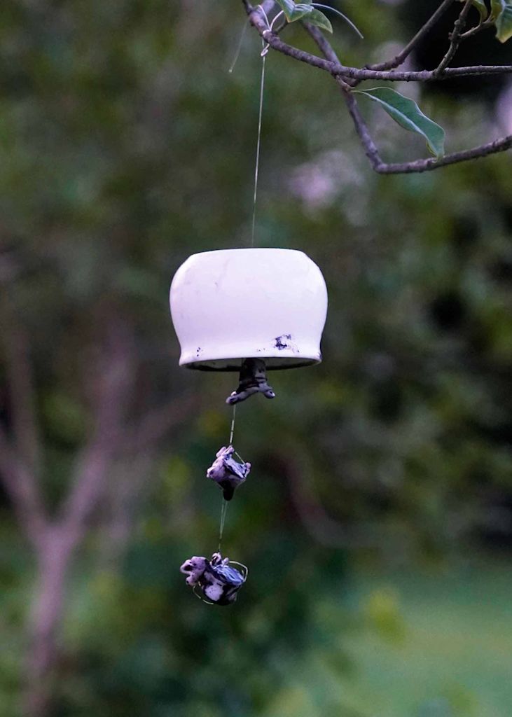 wind chime#ClimateCrisis2024#Group 1#nichumphries