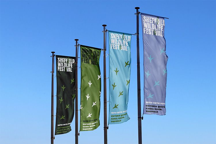 Sheffield Wildlife Festival