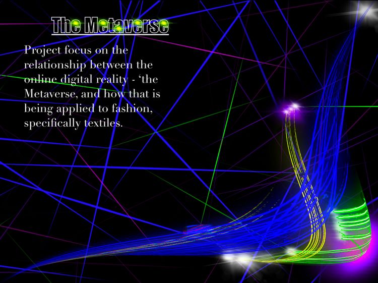 The Metaverse