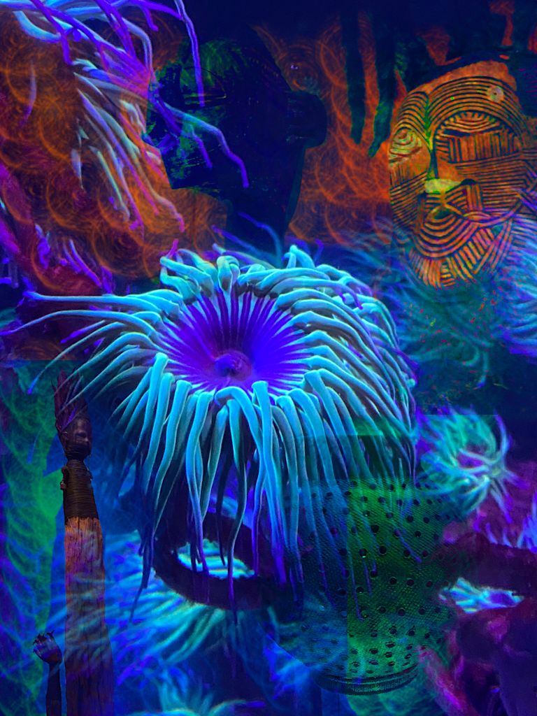 Deep Sea Dwellers