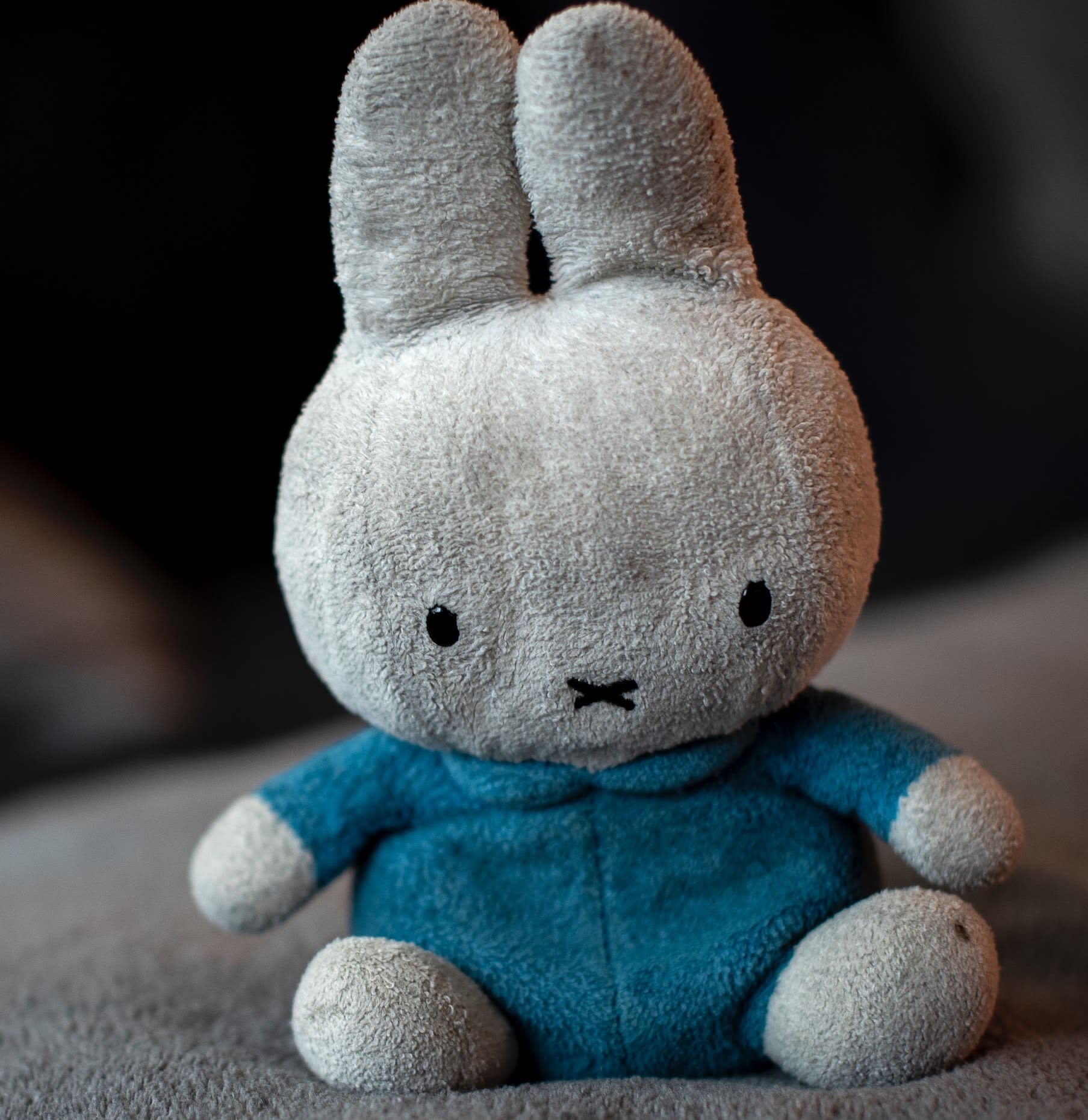 Close up of a bunny toy